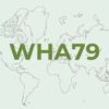Health enters the international climate agenda, but remains far from the center of the debate