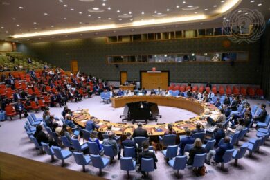 Celebramos el respaldo de la ONU a la obligación legal de los Estados de actuar frente a la crisis climática